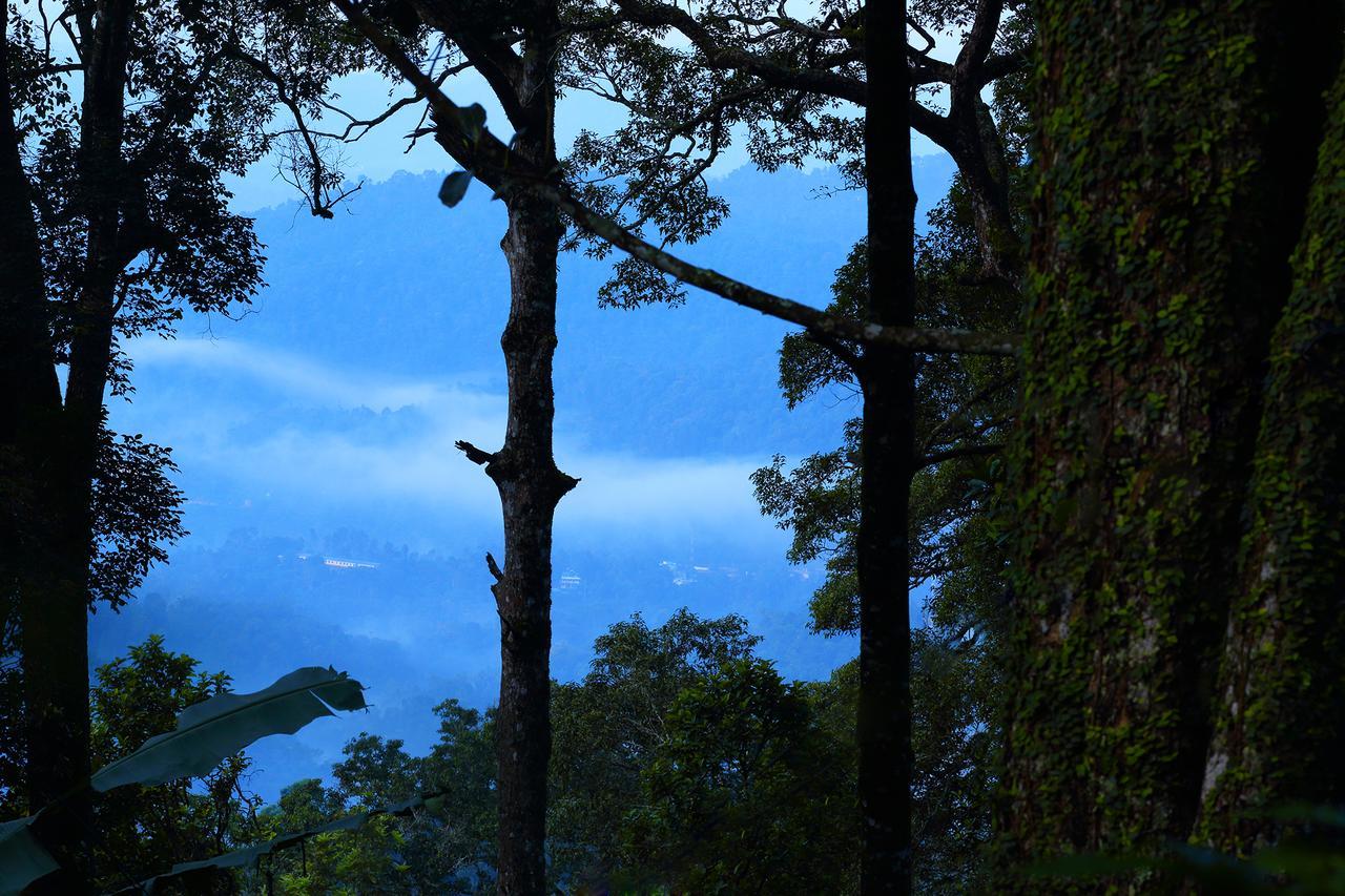 Madhumanthra Resort - Homestay Munnar Ngoại thất bức ảnh