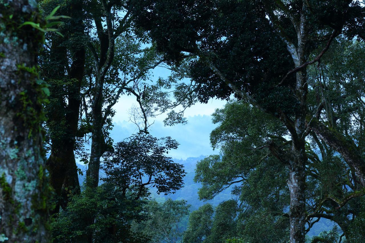 Madhumanthra Resort - Homestay Munnar Ngoại thất bức ảnh