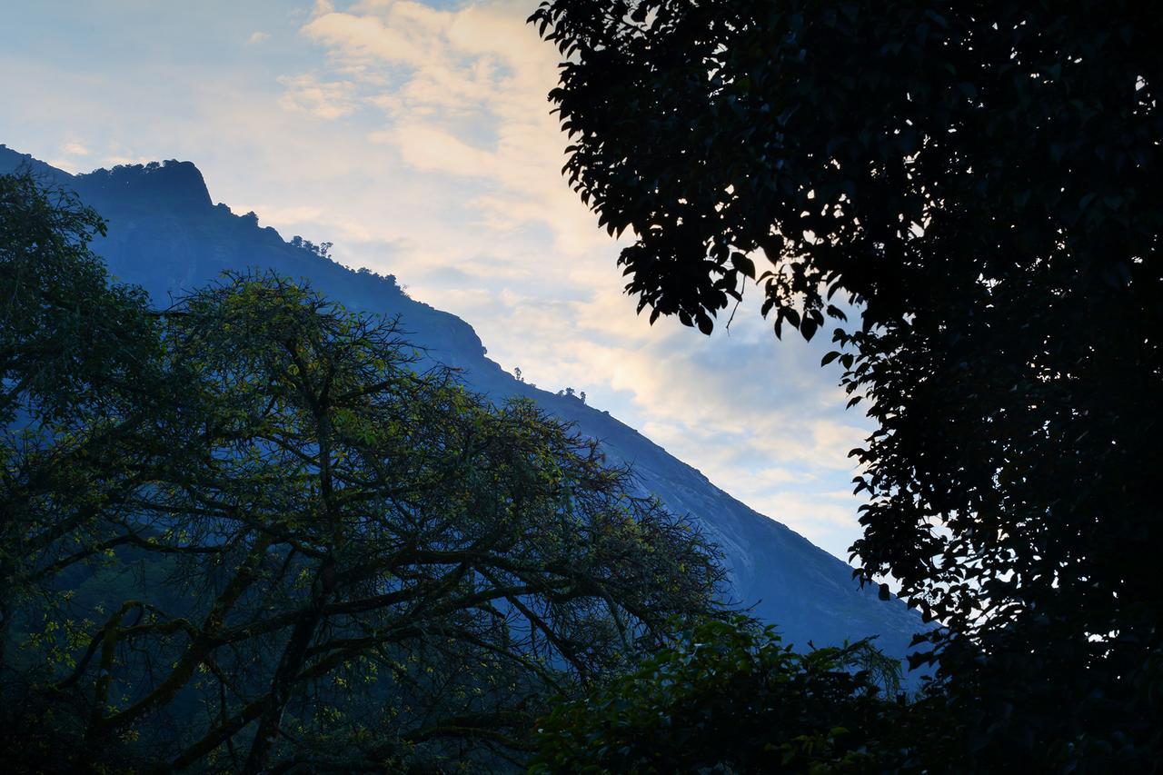Madhumanthra Resort - Homestay Munnar Ngoại thất bức ảnh