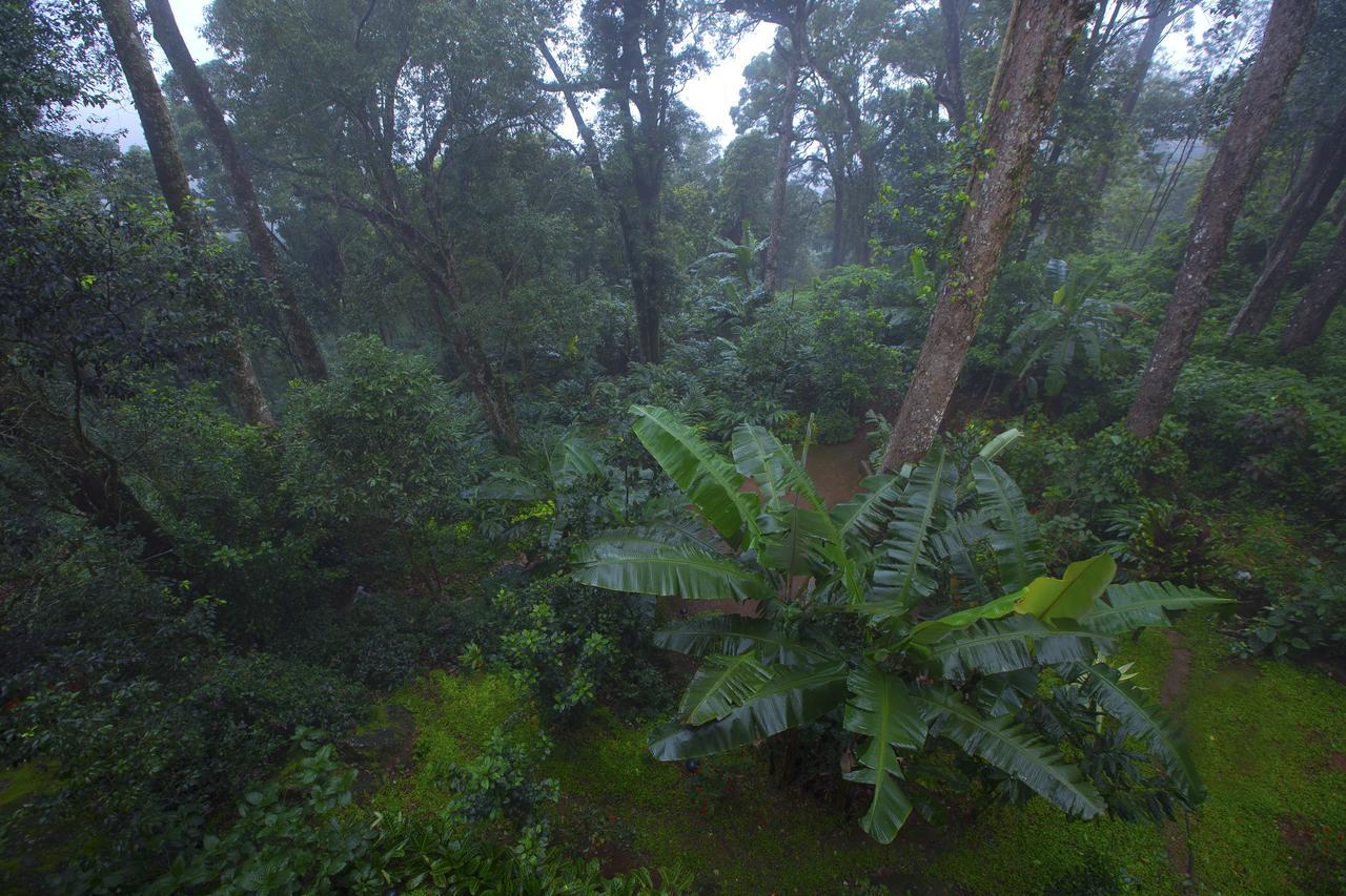Madhumanthra Resort - Homestay Munnar Ngoại thất bức ảnh